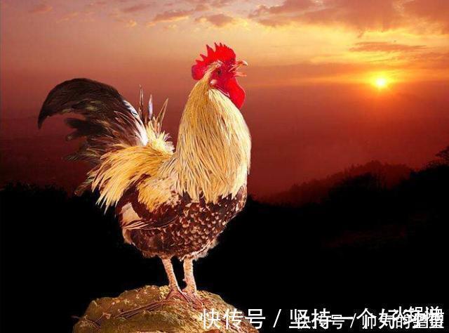 現代漢語!“文盲”終于贏了教科書上的3句古詩,以后再這樣讀可就錯了