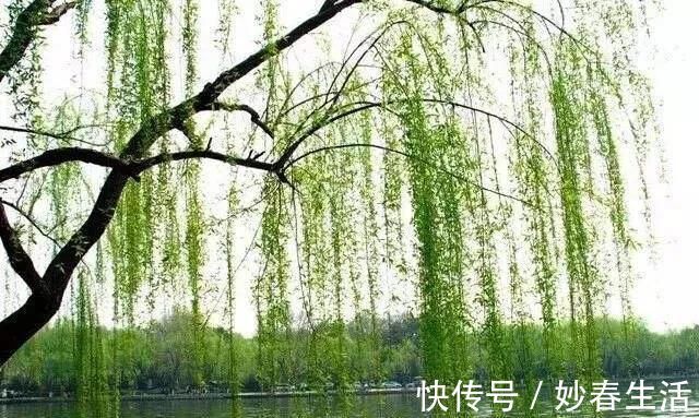 屈原@写尽岁月沧桑,令心灵战栗的古典名句