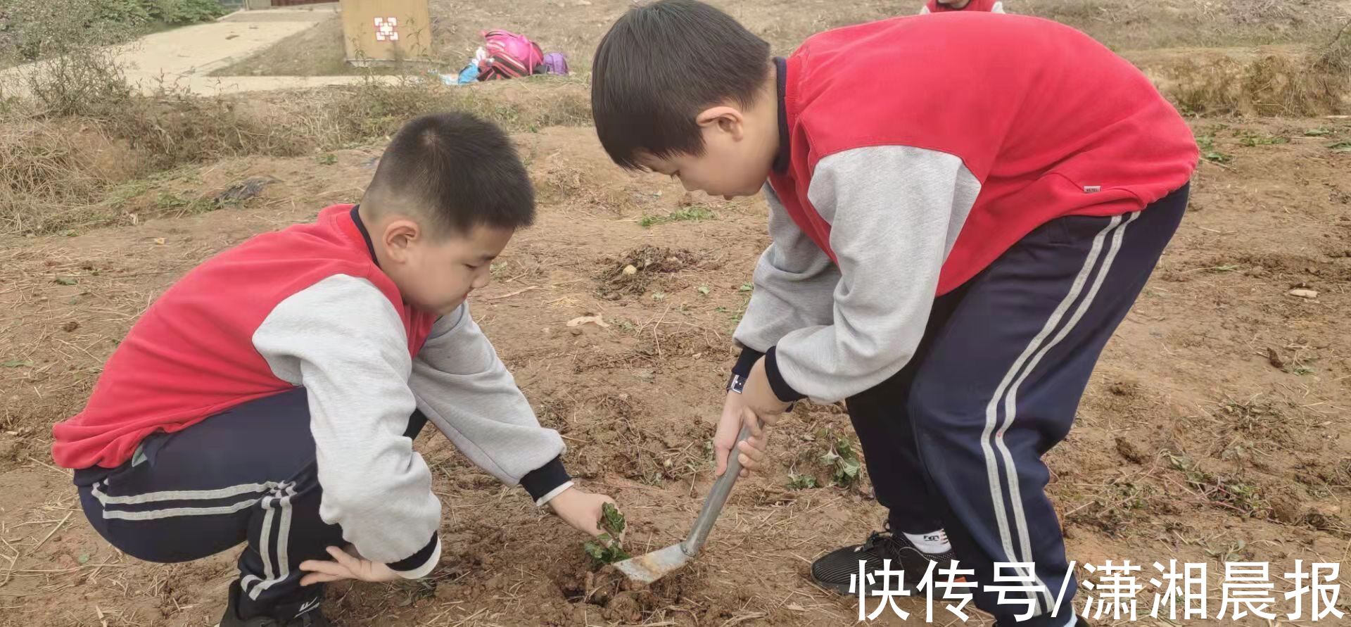 游泳|什么是好学生？湖南这些地方给学生建立多面“自画像”