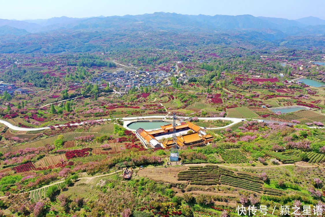 白鹿村、上马村、雅庄村，十里樱花十里尘，经典赏樱路