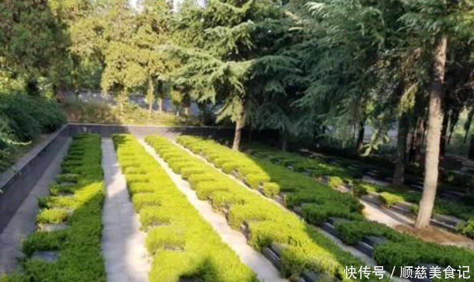 郑板桥|古人说的：“五树进宅，人穷家败”，是指哪5种树，为何不能栽？