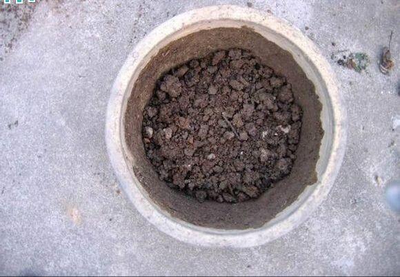 谁见谁烦的“废料”，可以用来养花，埋土里，透气效果好！