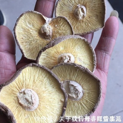 都是干香菇，“花菇”“冬菇”有啥不同？区别太大了，不懂别乱买