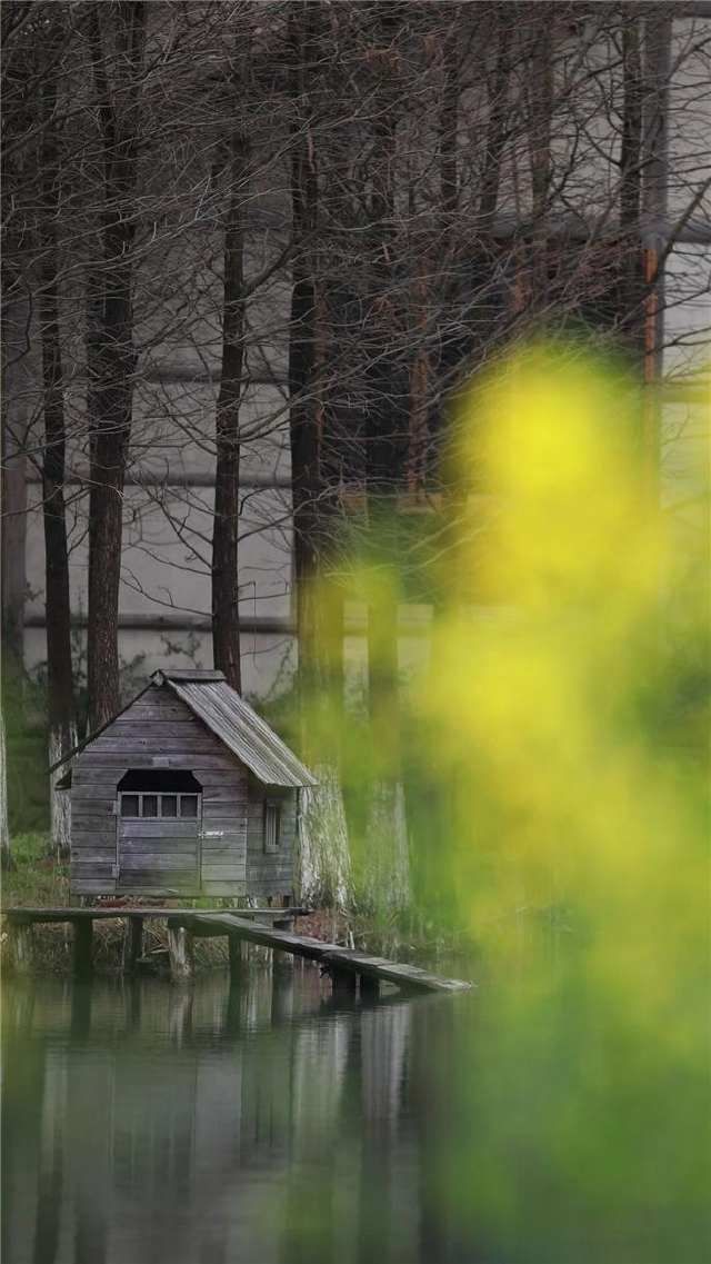 春雷始鸣,乌镇“慢直播”带你“云春游”,看小镇有多美