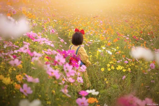 秀靥|百花诗词21首:桃李残春已半妆，西园芍药舞丹裳