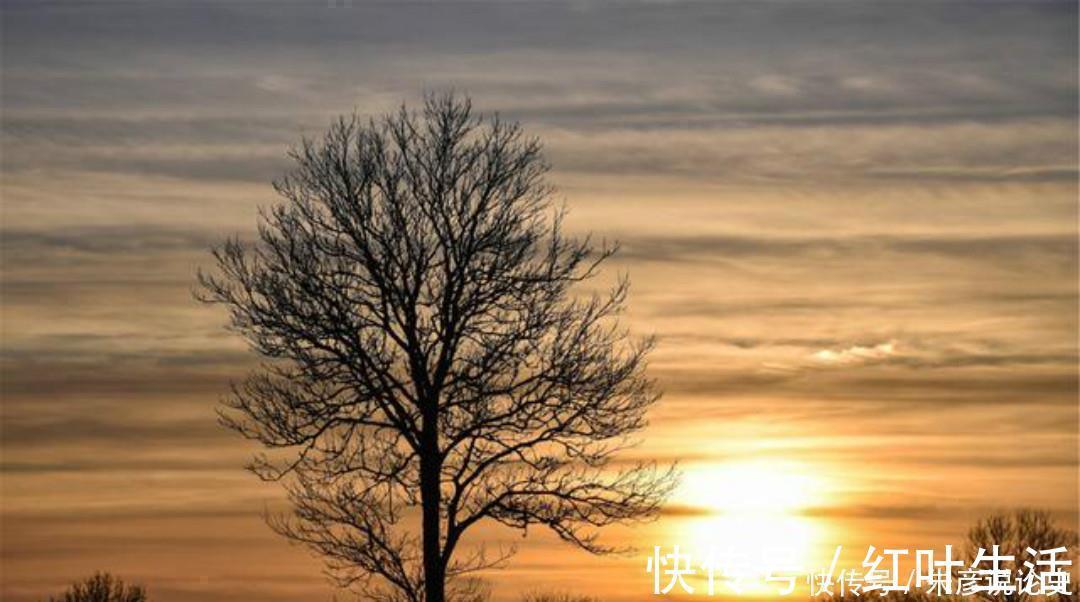 伤感@孤独的诗人写下一首思乡之作,无一字不伤感,无一字不忧愁