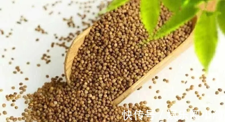 花冠|中药“菟丝子”的功效与作用你知道多少？