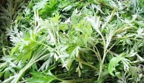 特别|大妈路边卖“杂草”,5元1斤没人要,识货的人直接连筐子都买了