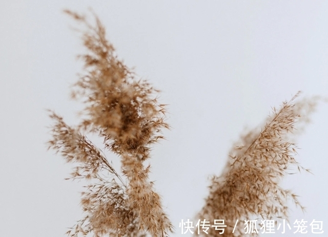 内心世界|摩羯座到底怎么样才是爱一个人?