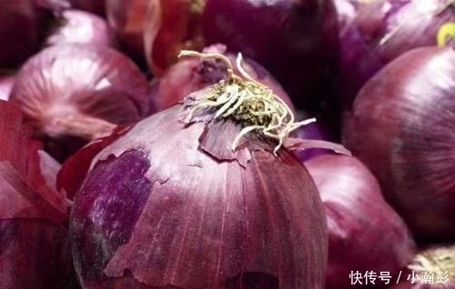 洋葱鸡蛋饼:口感香甜酥脆,简单又美味的早餐,大人小孩都爱吃~