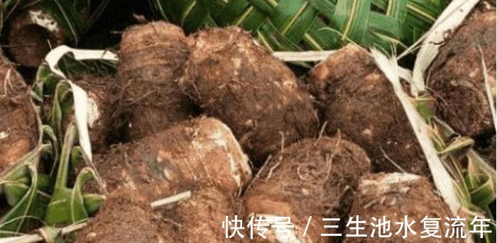 癌细胞|患了癌症不用慌, 常吃这些小食材, 癌细胞或许会和你说拜拜