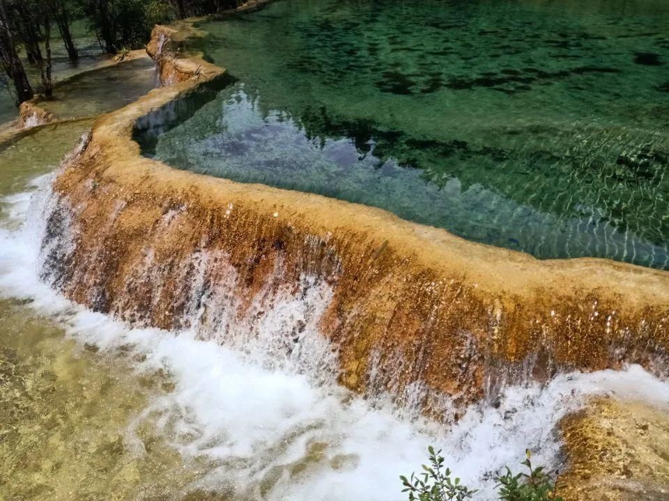 钙华保护地|心痛！黄龙景区万年钙华滩遭游客踩踏 请大家文明出行！