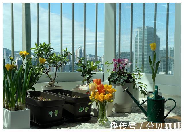 卫生间门|进门无玄关?试试她家的方法,还能多出一个餐厅,实用又耐看!