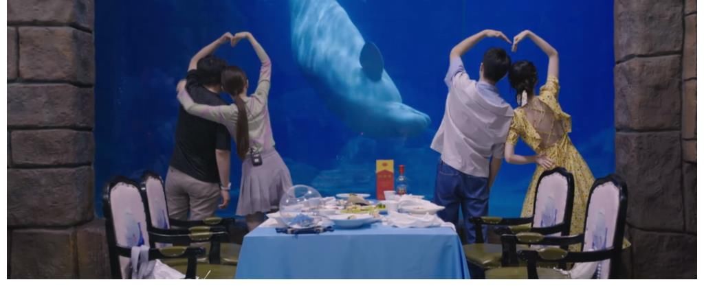 许魏洲|乔欣和许魏洲的真实关系,被郎朗点破了