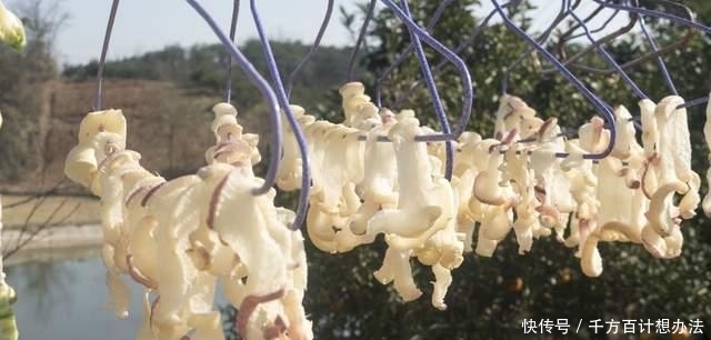 5道超下饭的自制腌菜,做法简单,无添加剂,存放1年都没问题