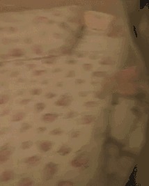 |搞笑GIF:原来我们讨厌的不是广场舞 而是那些大妈