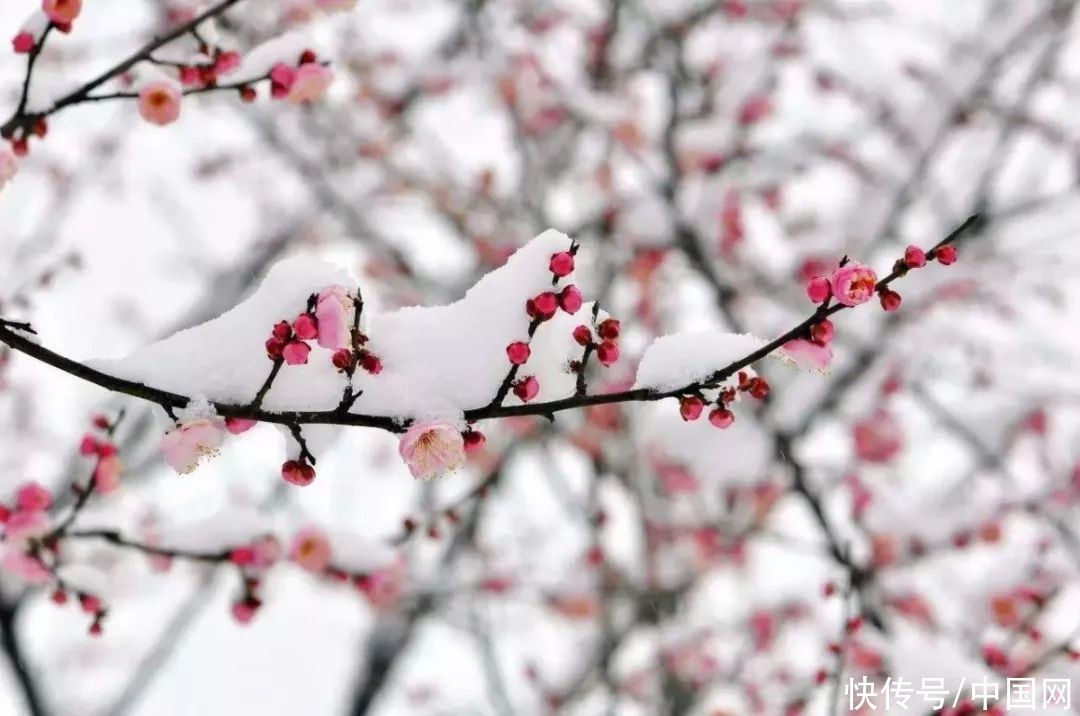  大雪：江山不夜月千里，天地无私玉万家|夜读 | 无私