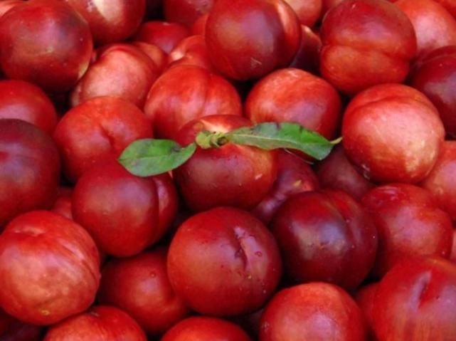 糖尿病患者|糖尿病的“冤家”找到了,每天尽量多吃4种食物,血糖或慢慢下降