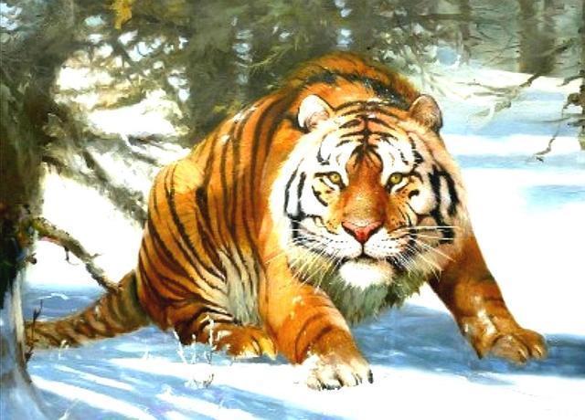 明处|李逵杀四虎毫不费力，武松杀一虎筋疲力尽，差距就在这两个地方