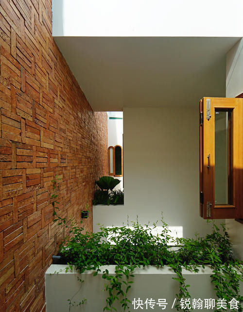 主卧|她住128㎡的联排别墅,家里3处天井,满眼绿色,像个植物园