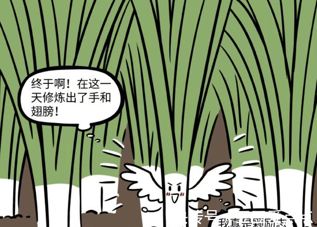 韭菜|非人哉:努力长出翅膀的九月,终究逃不过被割韭菜的命运