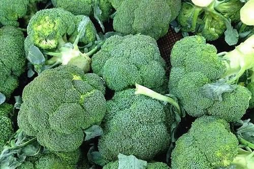 西兰花|3种西兰花不要买，越早知道越好，菜贩：我们从来不吃！