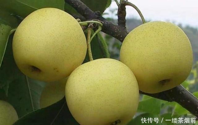 对身体最好的3种食物,美容养生、延缓衰老,好处多多