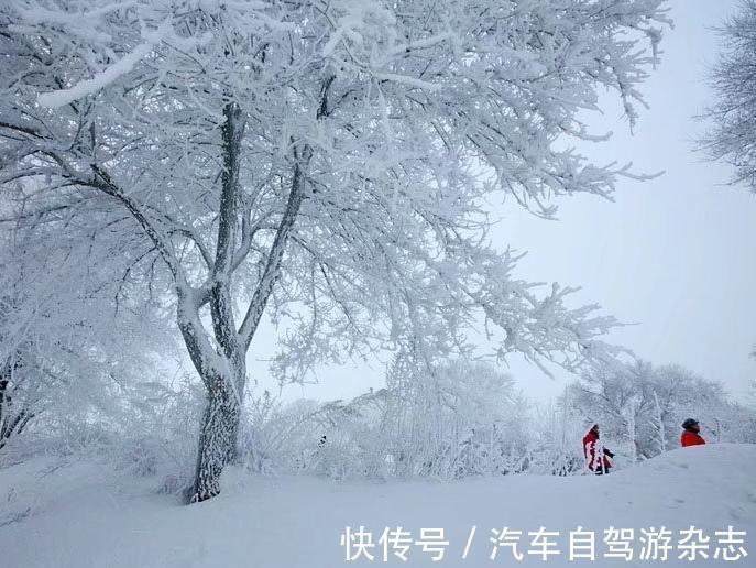 雾凇|自驾长白山冰雪世界