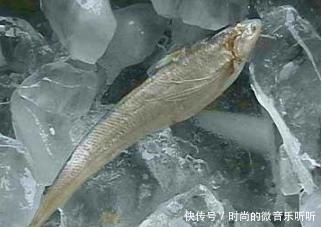 种鱼|公认最好吃的5种鱼,肉质细腻汤味鲜,全吃过的肯定是土豪!