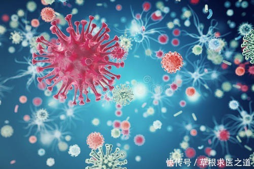 心神|中医心理学——上工守神破译疾病成因