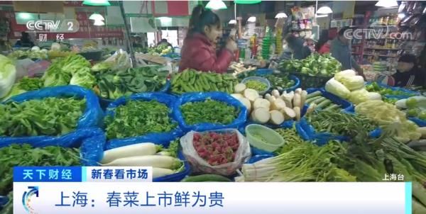 家常菜|一天一个价！杭州人爱吃的这道家常菜，卖到120元一斤