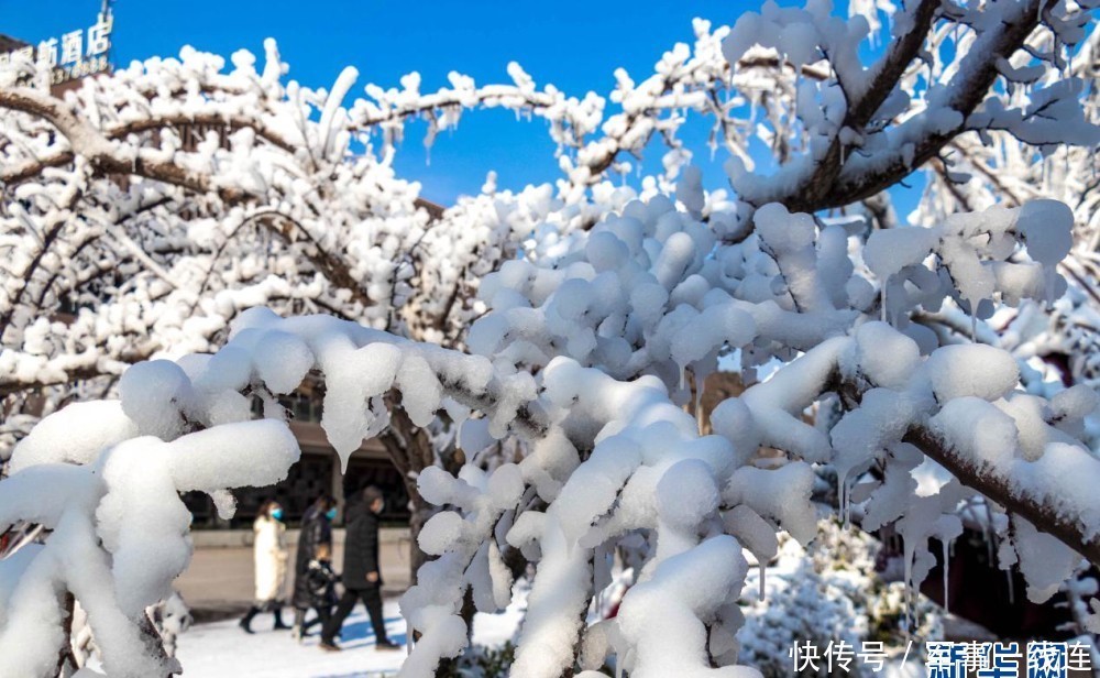 黄河壶口瀑布现“十里冰河”奇观