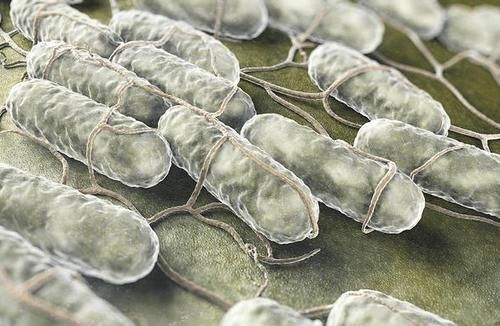 结肠癌|大肠癌的罪魁祸首已经找到，晨起坚持三个习惯，肠道才会更健康