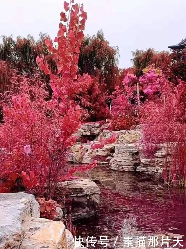 什么是为人真正的精明