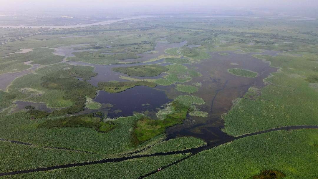 辽宁|辽宁湿地生态游逐渐走红