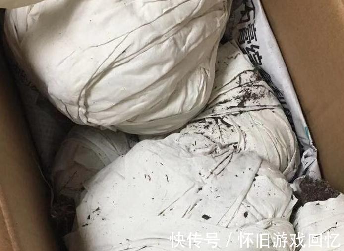 网购多肉,栽种前做好五个准备步骤,多肉妥妥地迅速服盆