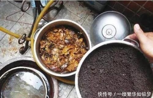 不算|喜欢养花,先“染上”2个坏习惯,否则就不算爱养花,看你有吗?