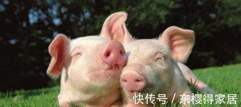 方便面|8个含金量很足的生活常识，课本上也不一定学的到哦!
