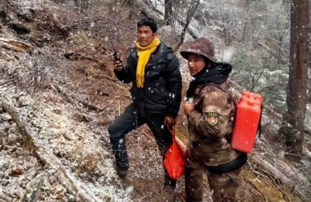 种群|理塘一村支书遭野猪袭击身亡，村民：如今一看见野猪，撒腿就开跑