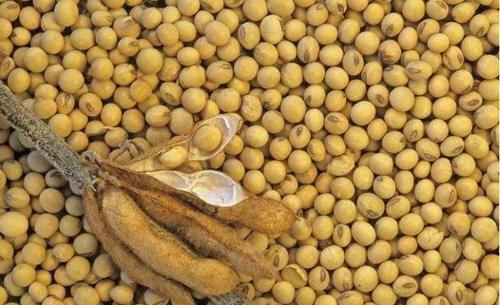  体内的雌激素|女性不想老得快，6种碱性食物使劲儿吃，补充天然雌激素显年轻