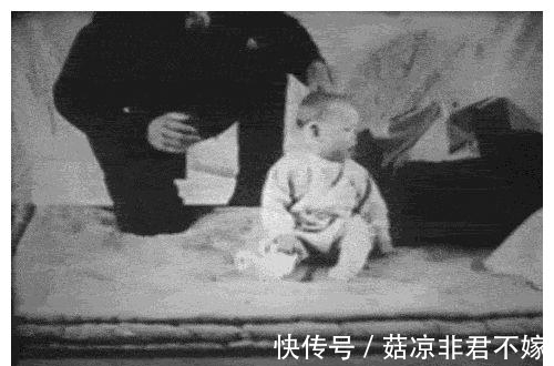 华生|用9个月婴儿实验,他的教育方法坑害千万孩童,如今竟在中国流行