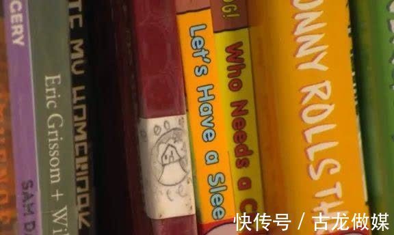 书架$美国八岁男孩作88页插画书,偷藏至图书馆引起百人争相借阅
