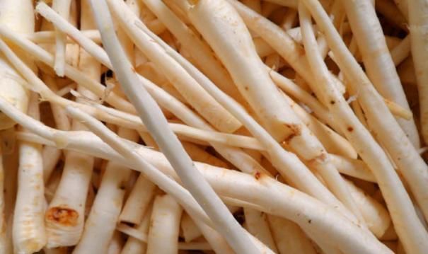 不起眼|农村不起眼的4种“抗癌王”,效果比蒲公英好100倍,太多人不知道