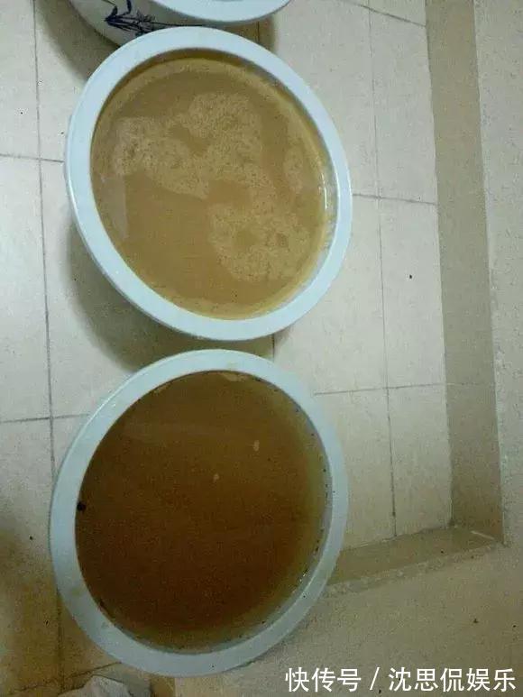 4种养花“神仙水”，夏天高温也能用，不烧苗，花儿长得旺！