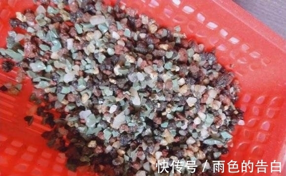 养多肉必备营养土，6种土，多肉常用，了解作用以及使用方式