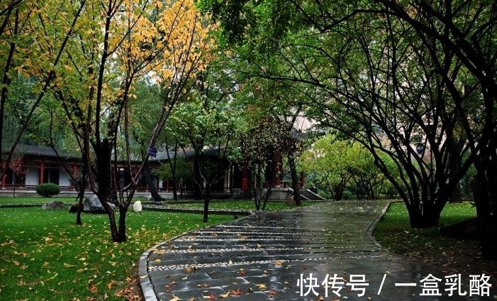 黄树影|“一路独行风渐紧，满街心事透衣衫”这句诗如何？七言绝句欣赏