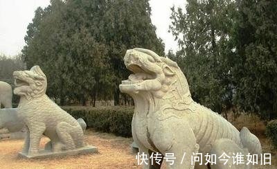 守护神&庄子记载一种怪物,今人一直防着它,坟头的石虎和柏树成守护神!