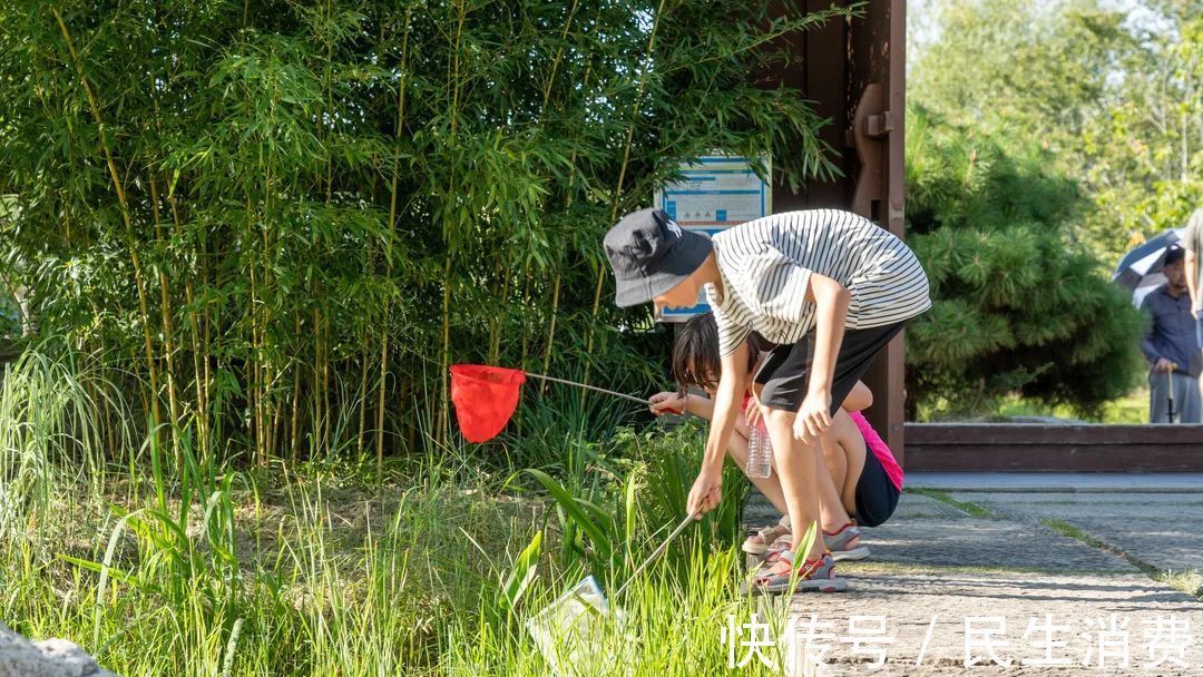 园博园|郑州园博园开园首周，秩序井然，多措并举保障游客安心游园