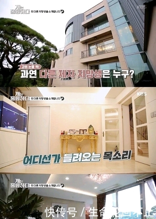 甄美里 李昇基李多寅热恋,李侑菲更新近况,亲绘宝可梦插画引版权质疑