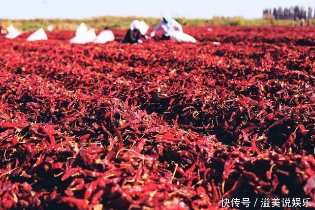 中年|苏州女子探秘南疆巴州：这是一处色彩的世界，超出你的想象